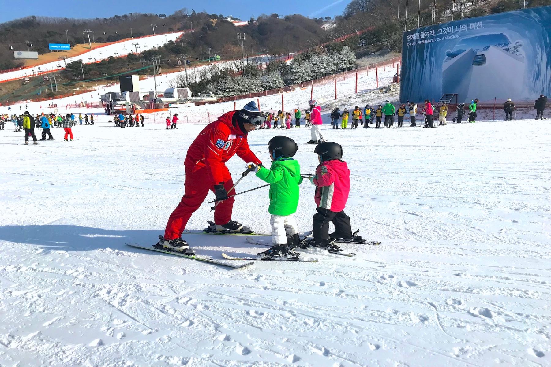 Private Ski Lesson at Vivaldi Park