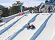 Snowy Coaster